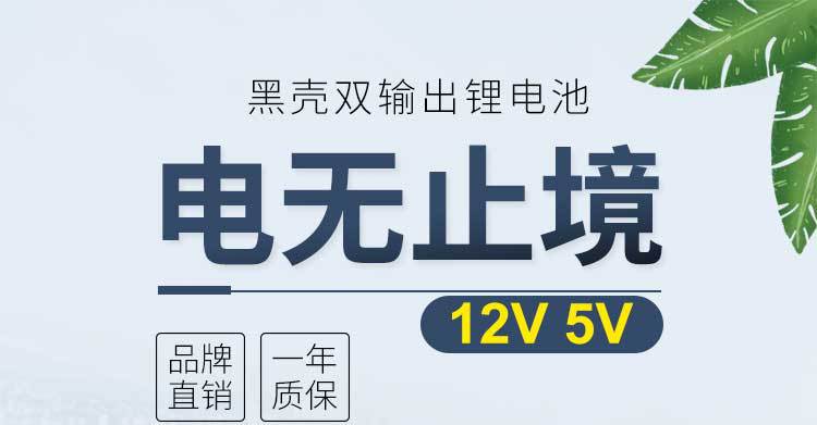 12V lithium battery pack, 6800 mah large-capacity 5V power bank, speaker, air conditioner, clothing backup power supply pic 1