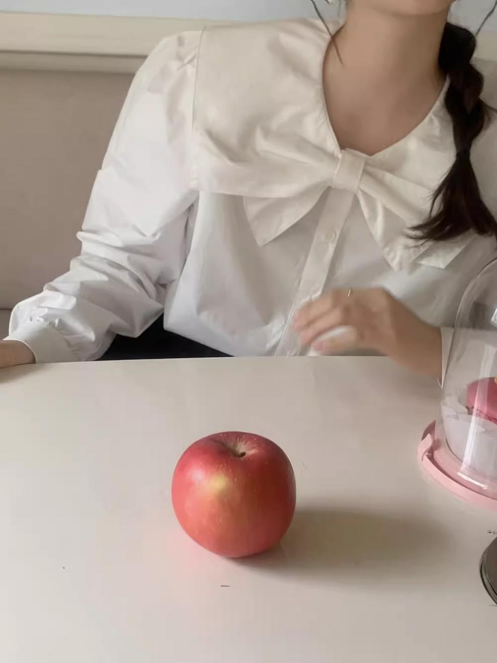 韩系设计感小众蝴蝶结娃娃领白色衬衫女2024春秋新款内搭别致上衣详情10