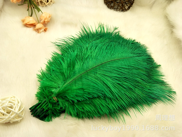 Colorful ostrich feathers 15-20cm, mask feathers, DIY accessories, wedding decoration props, ear-picking accessories, colorful feathers pic 45