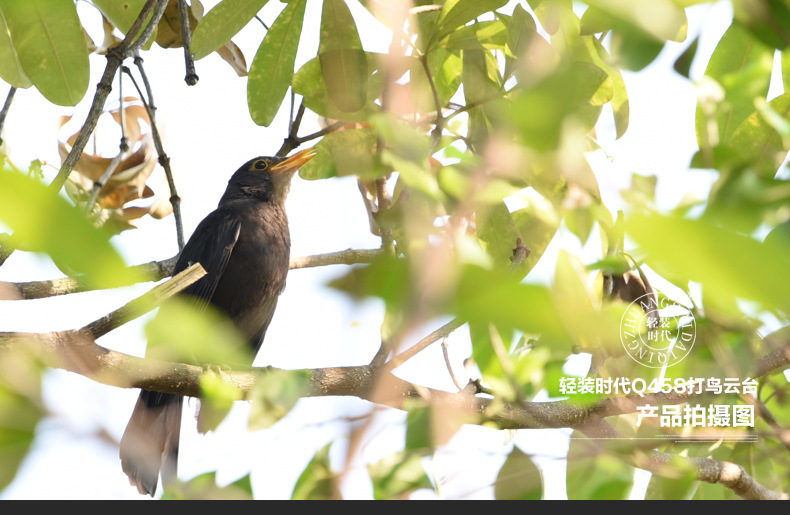 Q45 Professional panoramic boom gimbal, a dedicated telephoto lens for bird watching and shooting pic 11