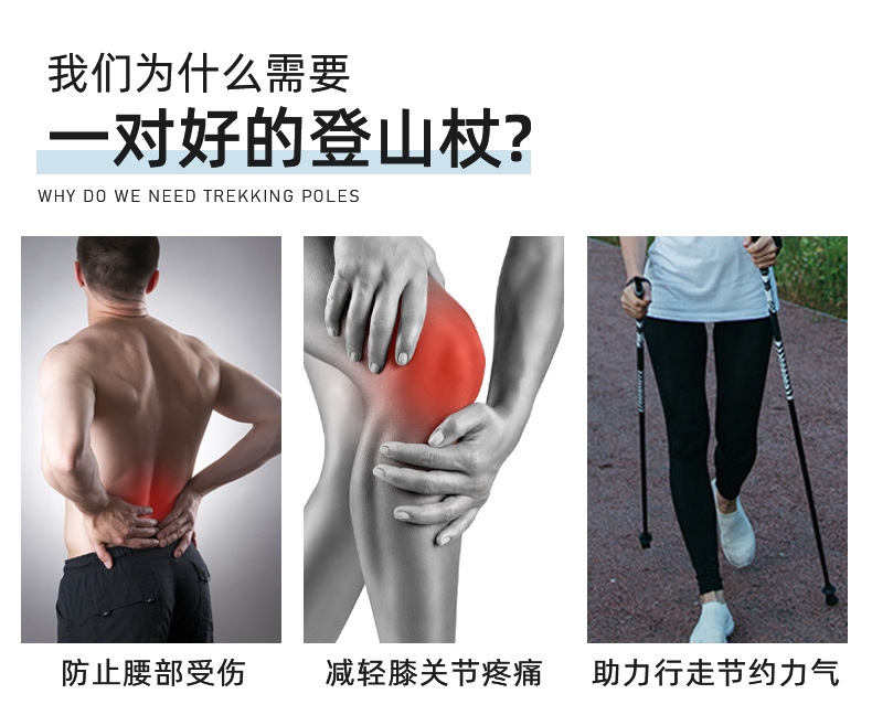 智行（登山杖）_02.jpg