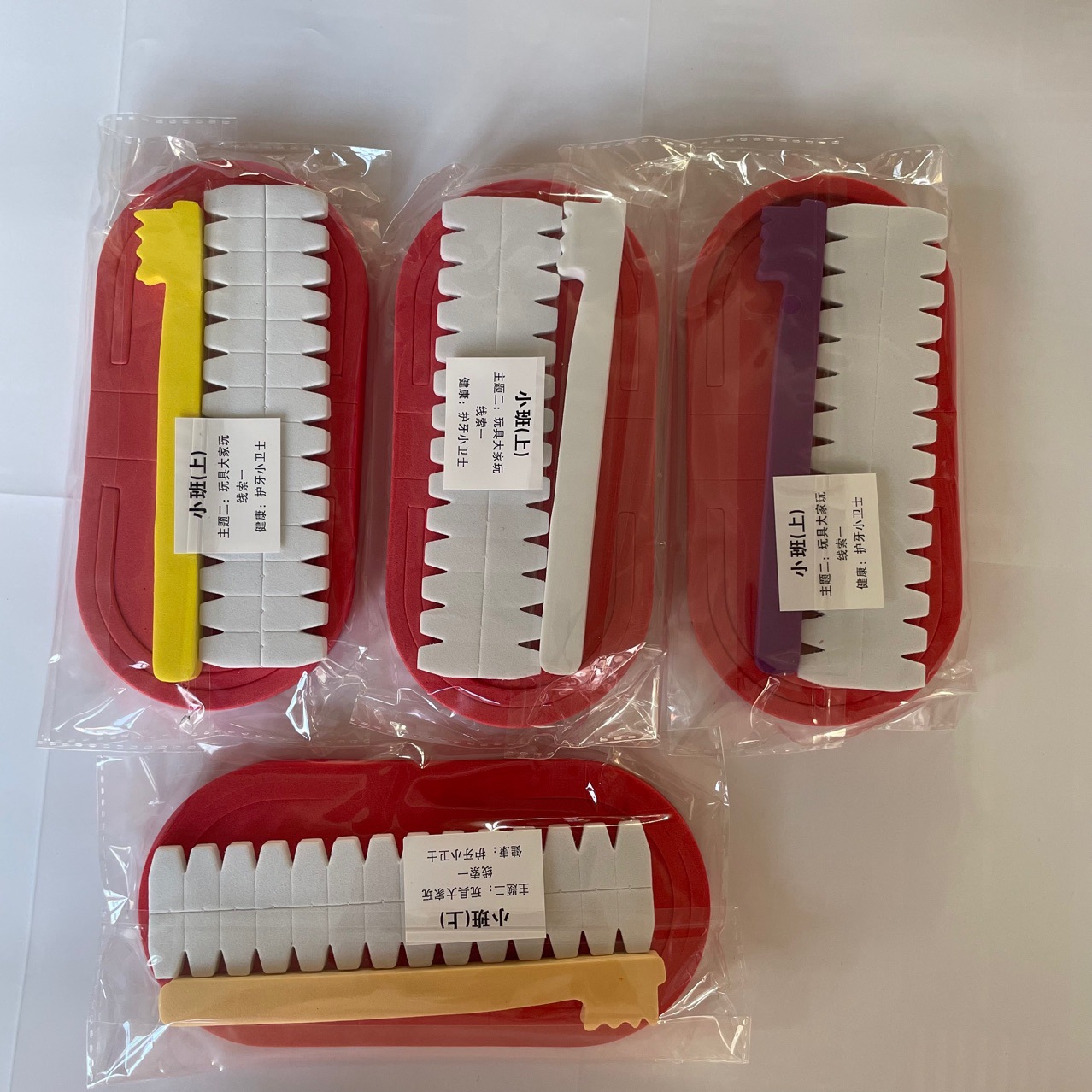 牙齿教具幼儿园牙齿模型早教玩具牙齿模型教学牙齿制作详情4