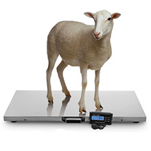 Wholesale and retail of high-precision mini jewelry scales, gram scales, portable pocket scales for palms, and popular products from the manufacturer pic 11