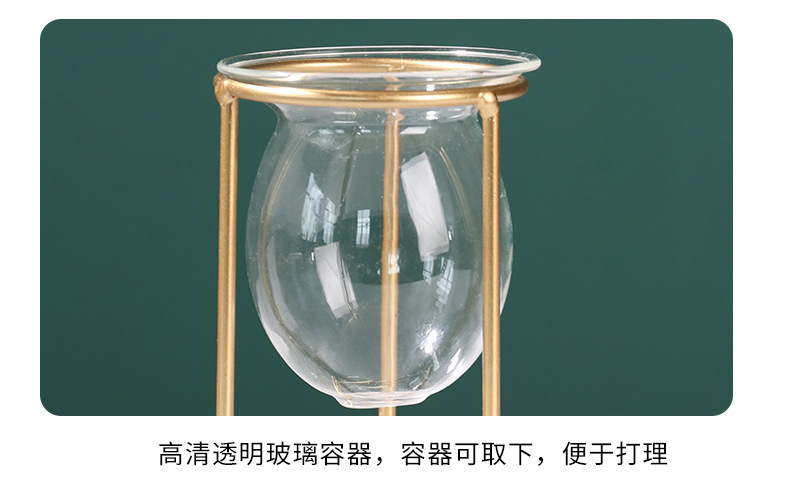 Nordic ins metal, ironwork, glass, hydroponic container, flower arrangement, creative home and office desktop flower arrangement pic 34