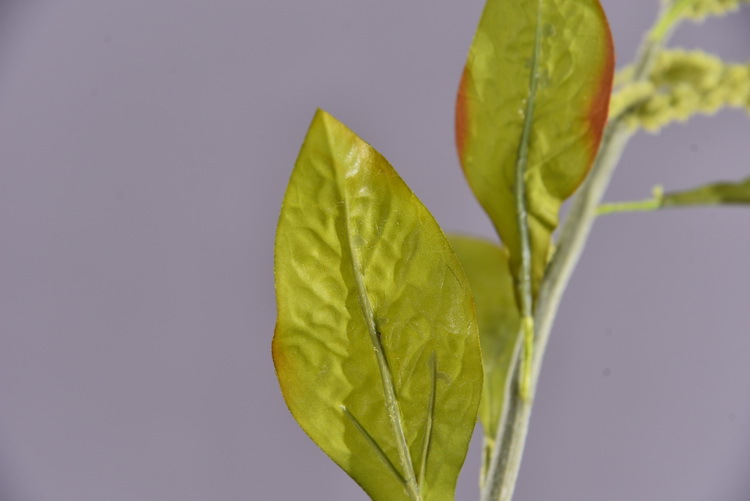 Dongli Yiwu Source Quality Products, high-end artificial flowers, hanging chicken tail tassels wholesale, artificial reeds, artificial flowers, artificial green plants, mouse tail model house home decorations pic 25