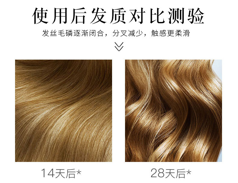 Wholesale polypeptide perfume shampoo, anti-dandruff and oil-control shampoo, conditioner, shampoo and hair care set pic 12