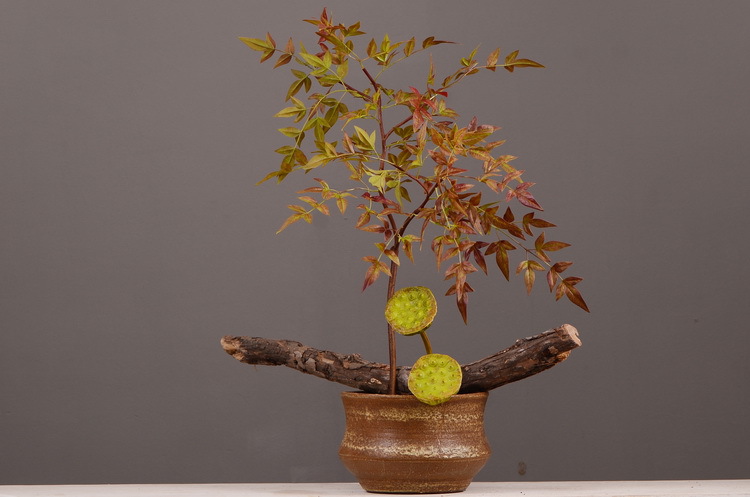 Dongli Source Factory, wholesale and direct sales of artificial plants in stock, wholesale of India leaves, autumn color leaves, hand-held flowers, leaf materials, props, flower art, bonsai, home decoration flowers pic 14