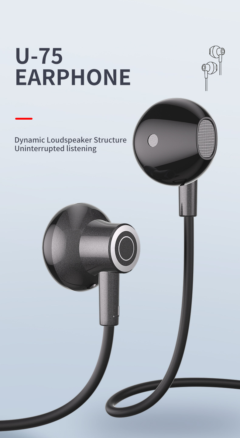 新款跨境热卖Type-c耳机有线耳机半入耳数字解码接口线控耳机现货详情1