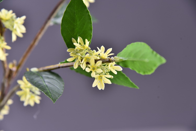 Wholesale artificial yellow osmanthus and laurel, green landscape garden artificial trees, decorative golden osmanthus leaves, home, hotel and homestay artificial flowers pic 28