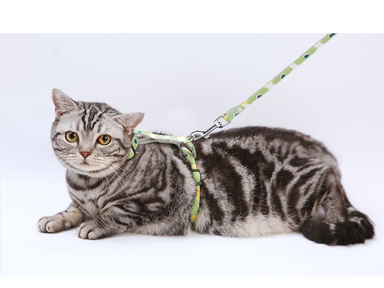 Pet supplies, pet supplies, pet cat leash, fresh and clean printed cat carrier, adjustable leash, anti-escape cat leash, cat walking leash pic 13