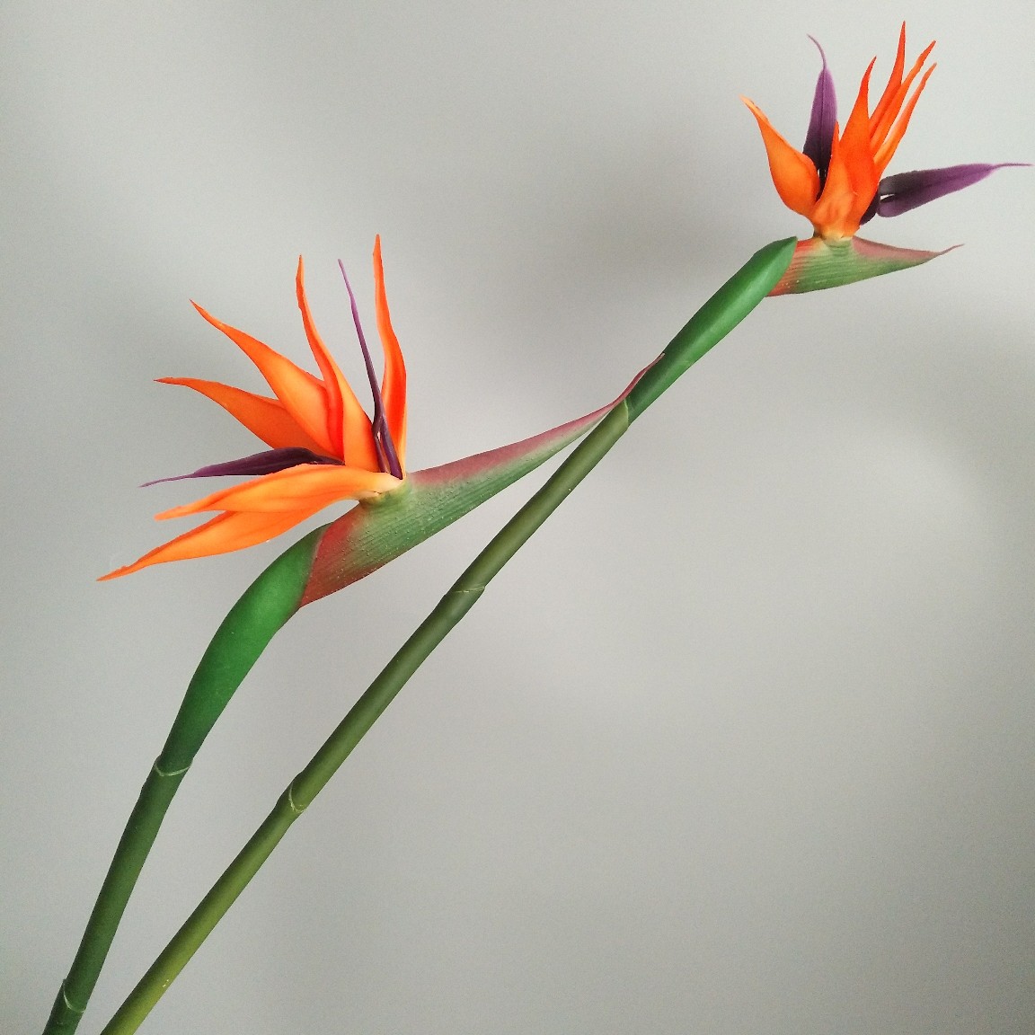 Soft rubber paradise Bird Crane Orchid New Chinese-style home model room decoration design, overseas wedding photography artificial flower pic 26