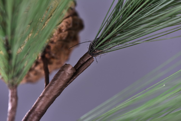 Factory direct sales of artificial Masson pine, Wabi-sabi style, Chinese Zen style artificial plants, wedding and banquet decoration green plants, pine needles pic 12