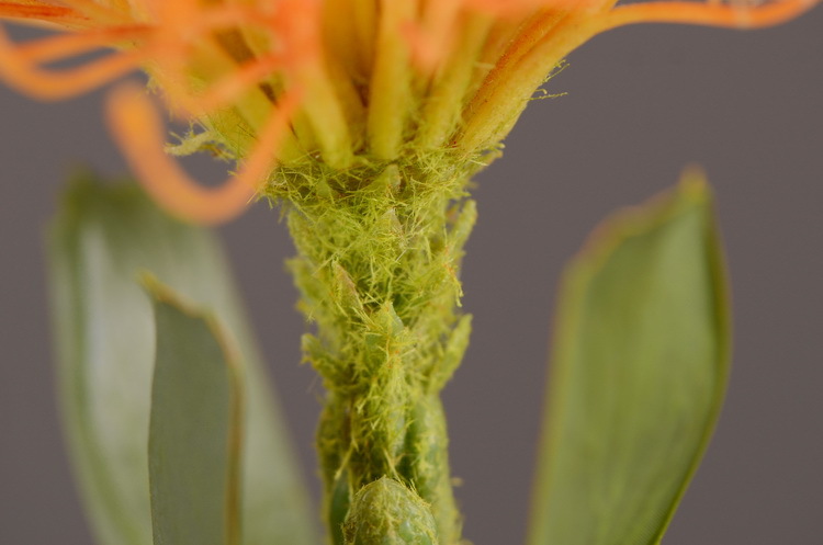 Factory direct sales, wholesale of in-stock inventory of artificial large needle cushion flowers, artificial flower sets, wholesale of living room, dining table, entrance hall, desktop decoration, flower arrangement and ornaments pic 12