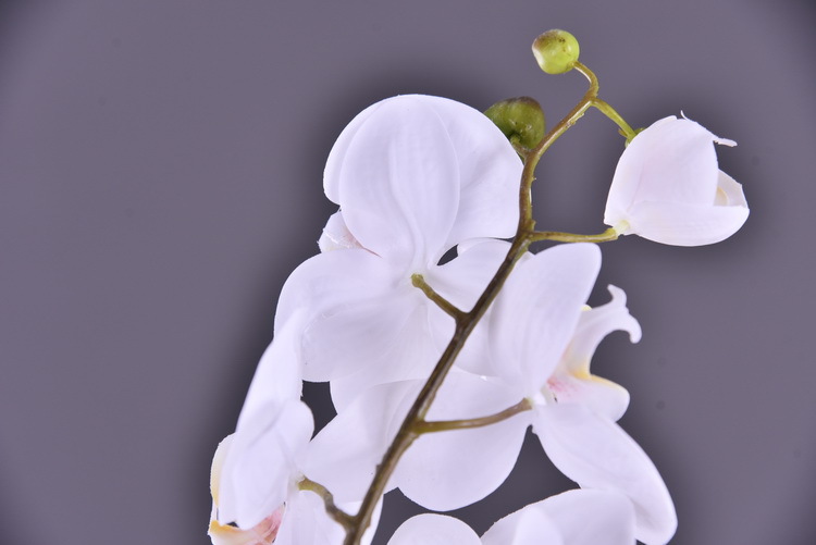 Wholesale of high-end artificial phalaenopsis from the manufacturer. 4-flower artificial phalaenopsis, a popular decorative artificial flower pic 7