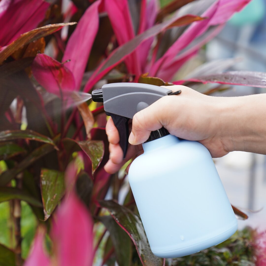 新款马卡龙色600ml喷水壶手持家用园艺浇花喷雾壶塑料淋花喷雾瓶详情12