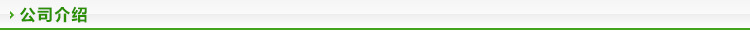公司介绍横条