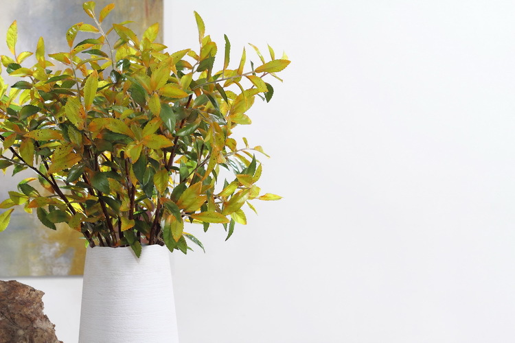 Dongli Factory direct sales, wholesale of olive leaf branches, artificial leaves, artificial leaves, Ins-style interior decoration, flower arrangement plants, wall accessories, artificial green plants pic 18