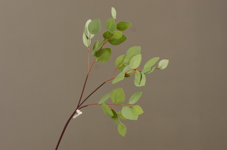 Dongli Flower Industry, the original manufacturer, offers direct sales of green plants in stock, wholesale of artificial leaves, round leaves with fruits, eucalyptus leaves, eucalyptus leaves, and one-piece consignment pic 14