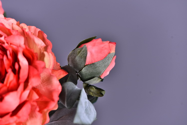 Factory direct sales of faux peonies with charred edges, wholesale of retro faux paeonies, living room and dining table flowers, wedding decoration artificial flowers pic 8