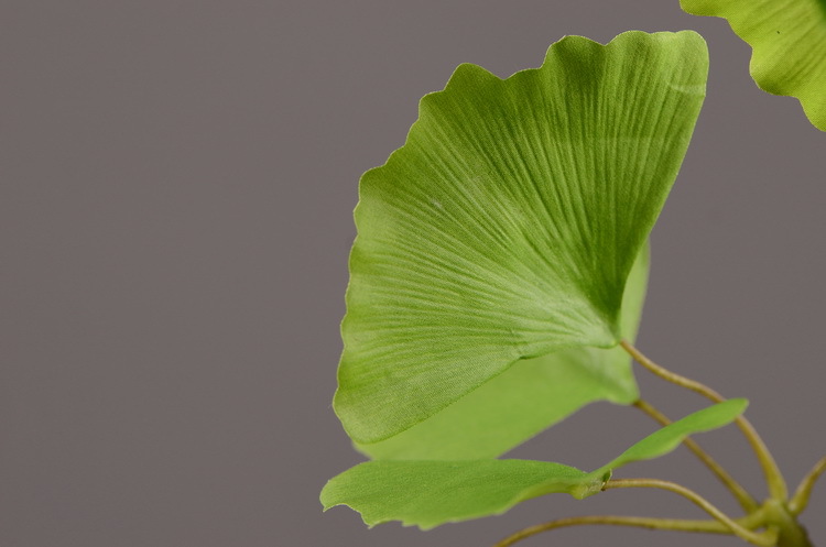 Dongli yellow artificial leaves, artificial ginkgo leaves, artificial trees, engineering landscaping, wedding decoration, artificial branches, Nordic artificial plant leaves pic 12