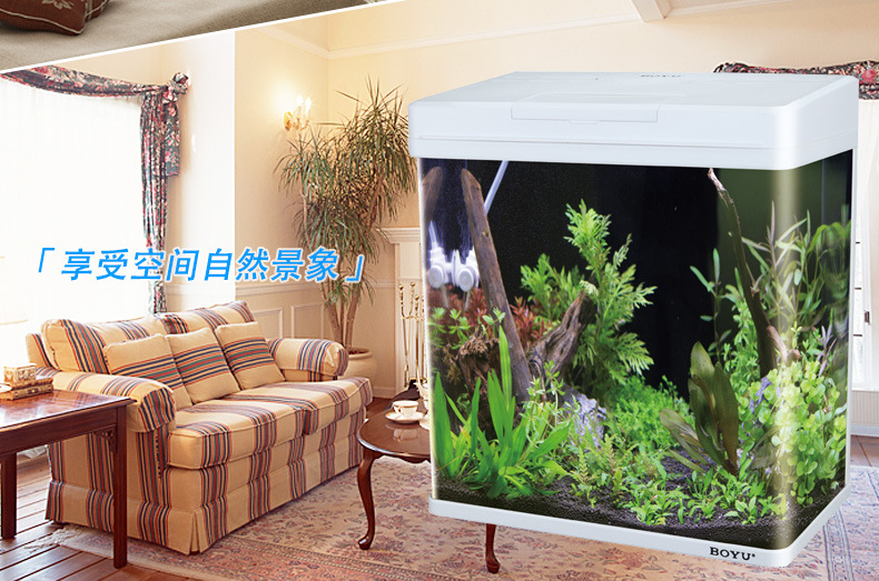 Wholesale BOYU fish tank aquarium mini office small glass fish tank MS series white pic 8