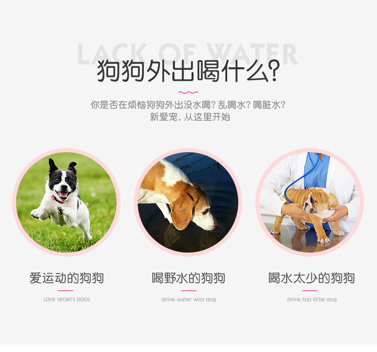 Pet supplies: Outdoor water bottle for dogs, portable travel water bottle, Teddy outdoor portable water feeding cup pic 2