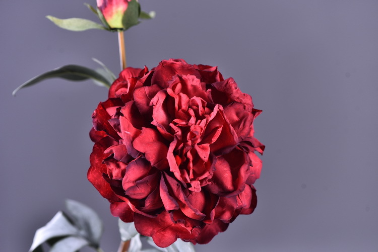Factory direct sales of 2 simulated peonies, retro charred edge simulated peonies, soft decoration floral art for living rooms, lobbies and homestays pic 57