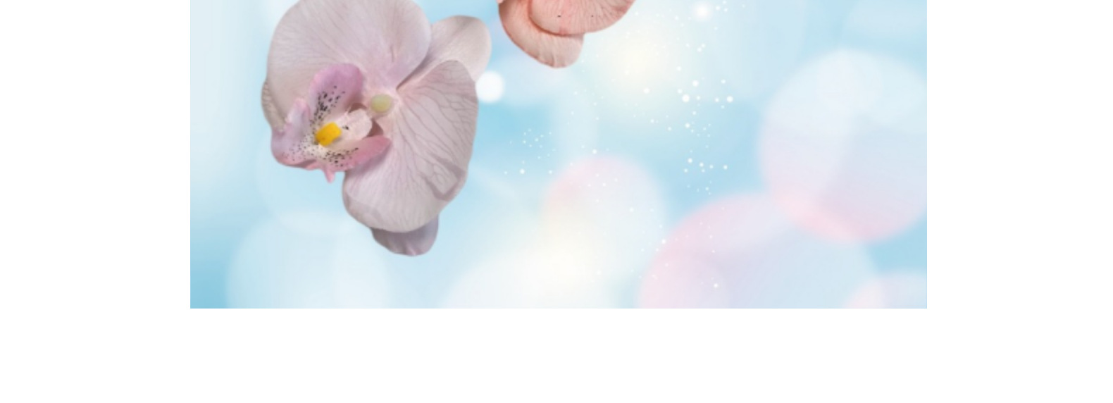 仿真蝴蝶兰花头11.5CM假花diy绢花婚礼装饰花艺簪花材料摆件批发详情11