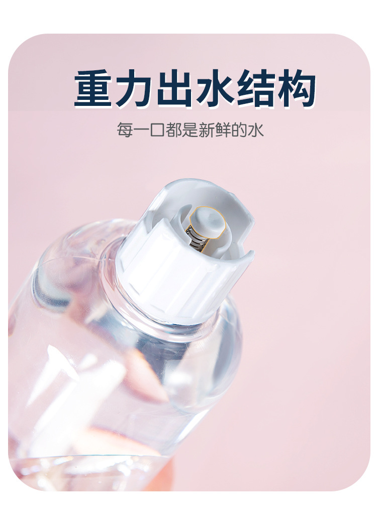 Pet basin, dog basin, cat basin, pet basin, pet bowl, stainless steel pet basin, new pet and cat double bowl, automatic pet feeder, water dispenser, cat food basin, dog bowl, cat bowl, cat supplies pic 5