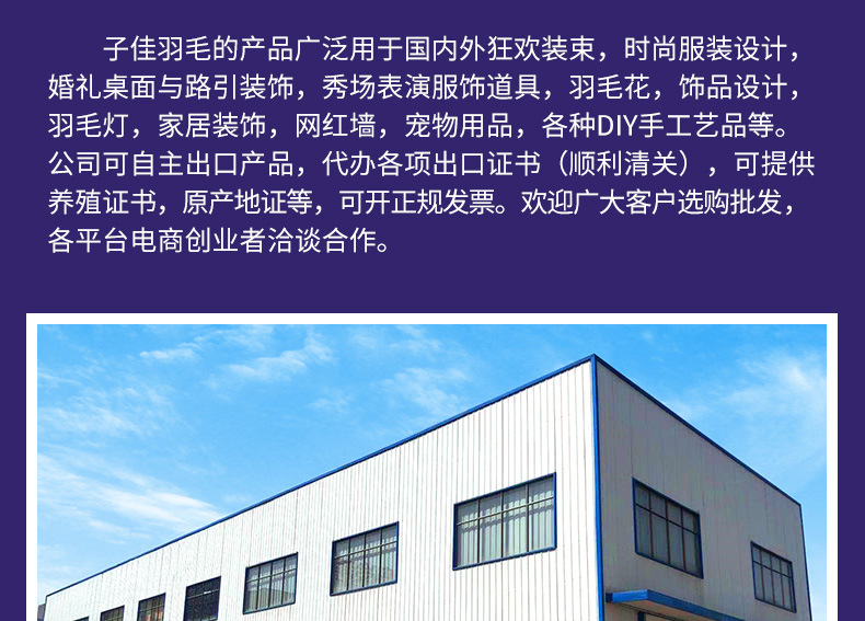 彩色鸵鸟毛布边10-15CM舞台礼服舞蹈服裙边服装辅料羽毛花边详情24