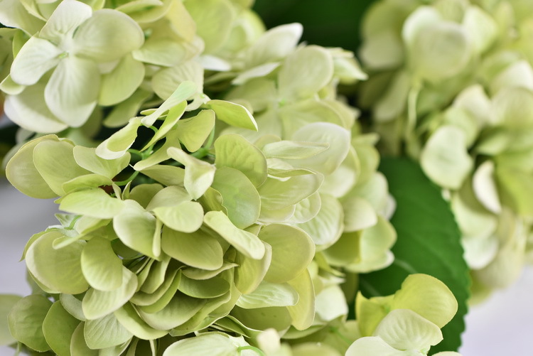 Factory supply of artificial hydrangeas, high-end hydrangea wholesale, wedding, home, hotel landscaping, main flowers, decorative artificial flowers pic 52