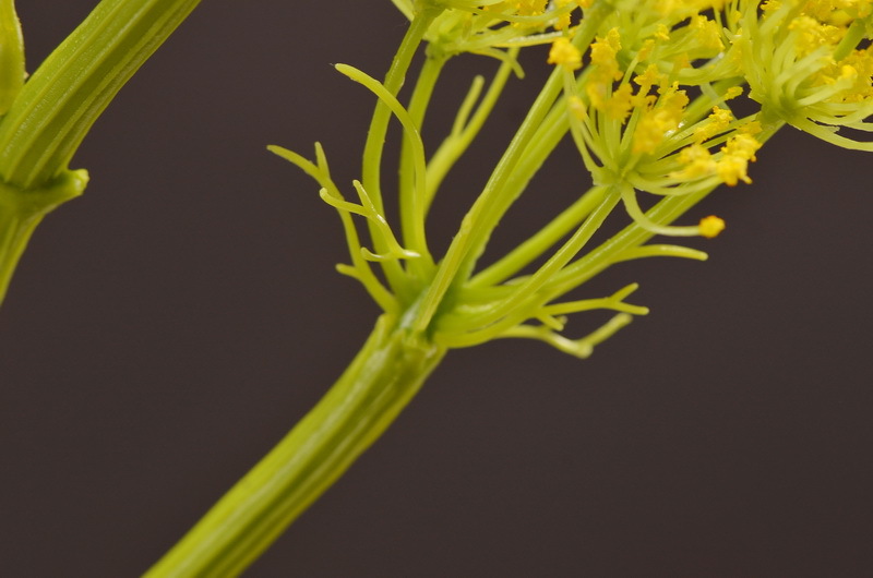 Wholesale of artificial lace and artificial green plants from the original factory, flower arrangement materials, and artificial plants for home, hotel, wedding and decoration pic 32