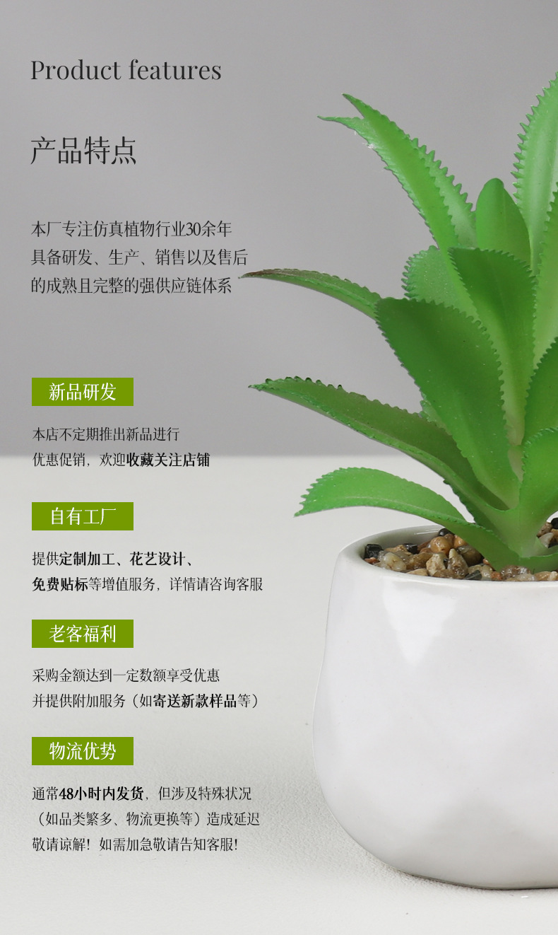 Amazon set of simulation succulent three-piece set with PVC box home decoration simulation plant potted plant gift pic 19