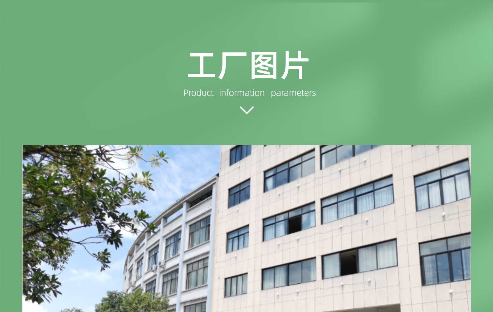 百洁布批发研磨抛光除锈植绒拉丝布工业清洁菜瓜布详情19