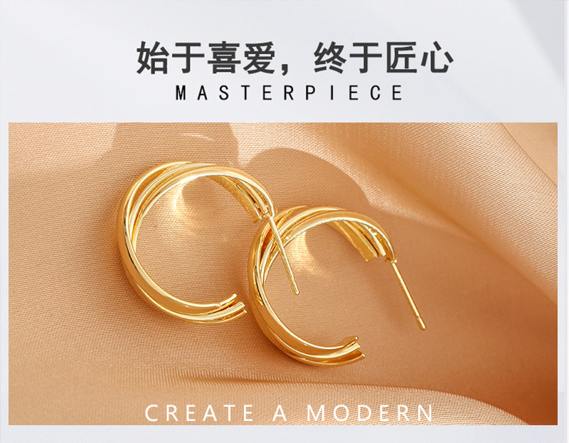 S925 Silver needle European and American style fashionable earrings, simple and elegant, niche and individual, high-end sense, stud earrings for women wholesale pic 10