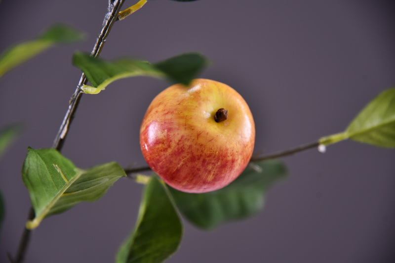 Dongli Flower Industry Factory offers wholesale of artificial apple branches, high-end artificial fruit and berry tables, wedding model room decorations, and photography props in stock pic 18
