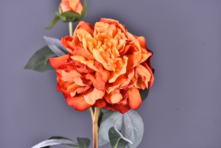 Factory direct sales of 2 simulated peonies, retro charred edge simulated peonies, soft decoration floral art for living rooms, lobbies and homestays pic 9