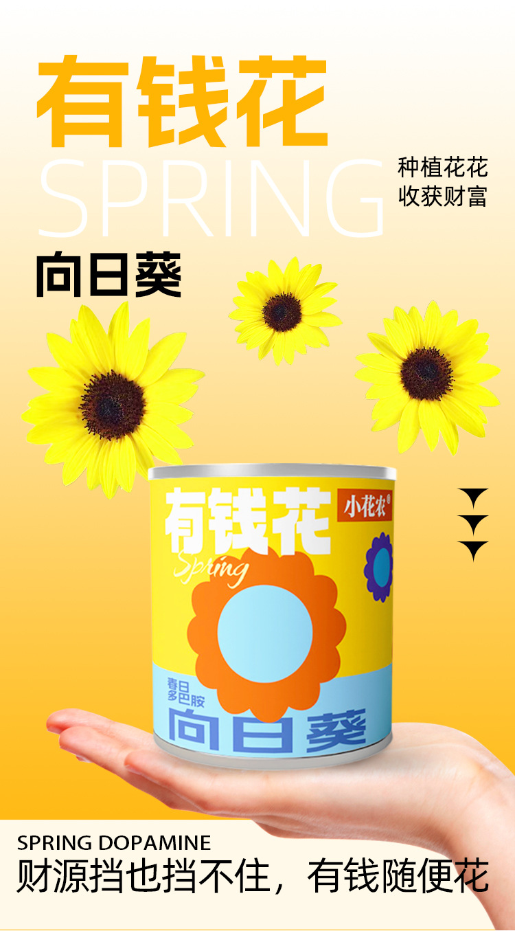 小学生科教玩具春天儿童种植迷你小盆栽花卉室内桌面种花易拉罐头详情6