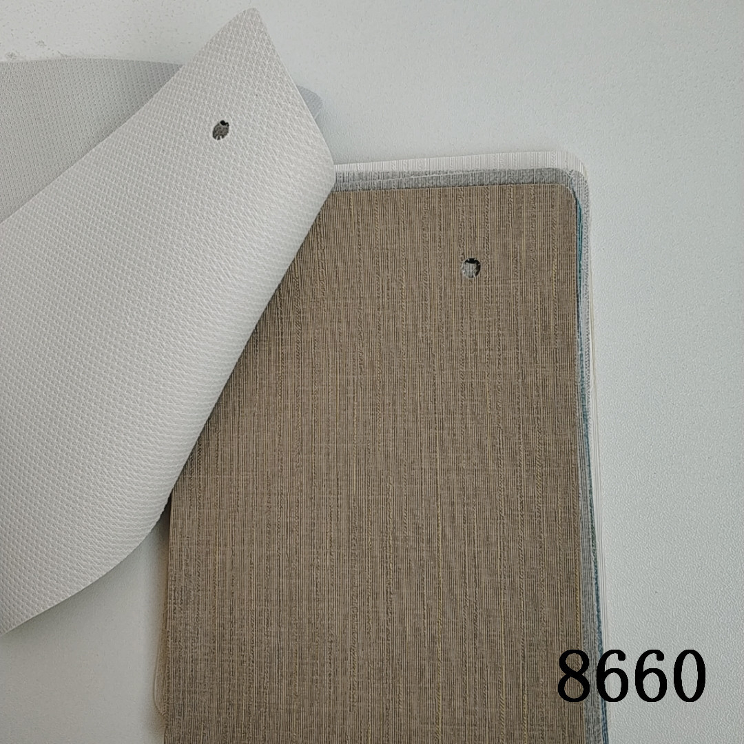 B612Kaji_20190117_141342_133