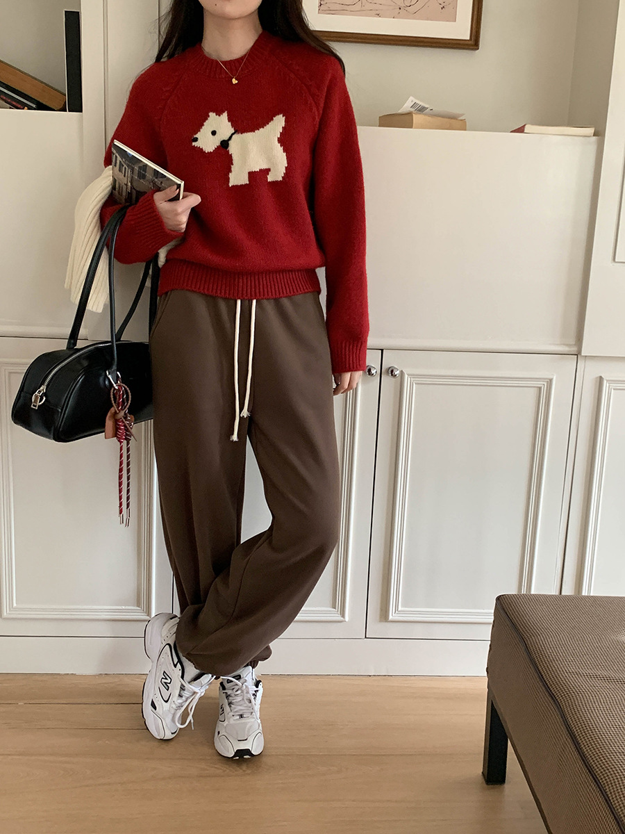 3th Morning North Island Park Korean Style Youthful Dog Embroidered Round Neck Pullover Sweater ZY2381 pic 56