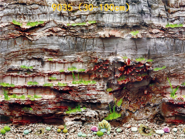 Wholesale production of 60cm high single-sided thin paintings, various ecological aquarium background paintings. Craft paintings. Aquarium equipment pic 57