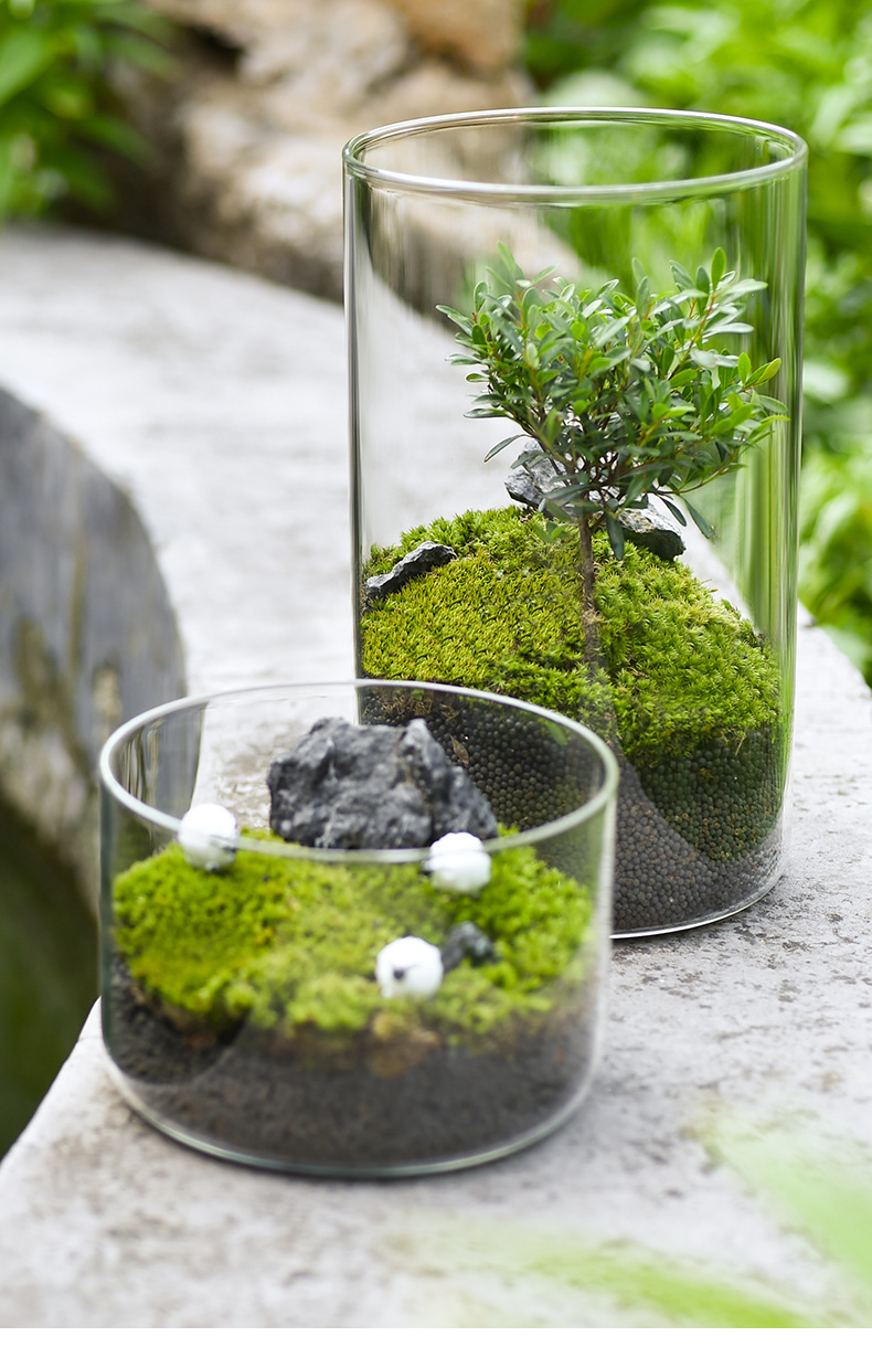 Wholesale transparent micro-landscape glass vase ornaments, hydroponic ecological bottles, diy moss tanks, succulent flower POTS, glass jars pic 30