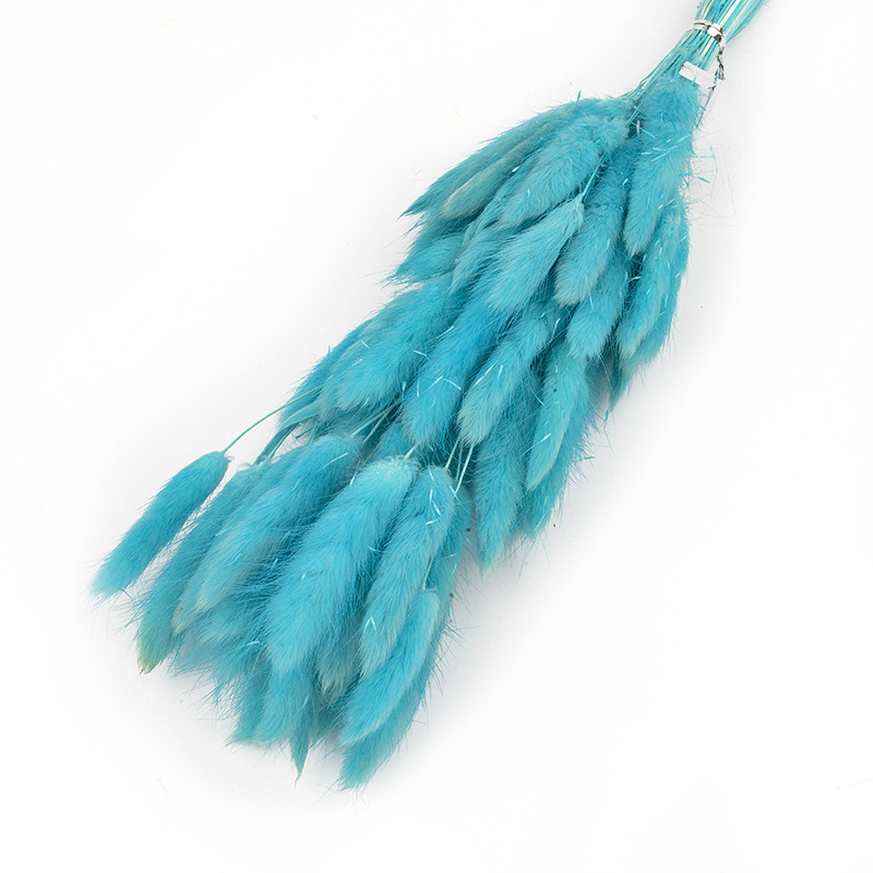 兔尾草干花真花永生花满天星干花花束批发家居装饰插花拍摄道具                               详情10