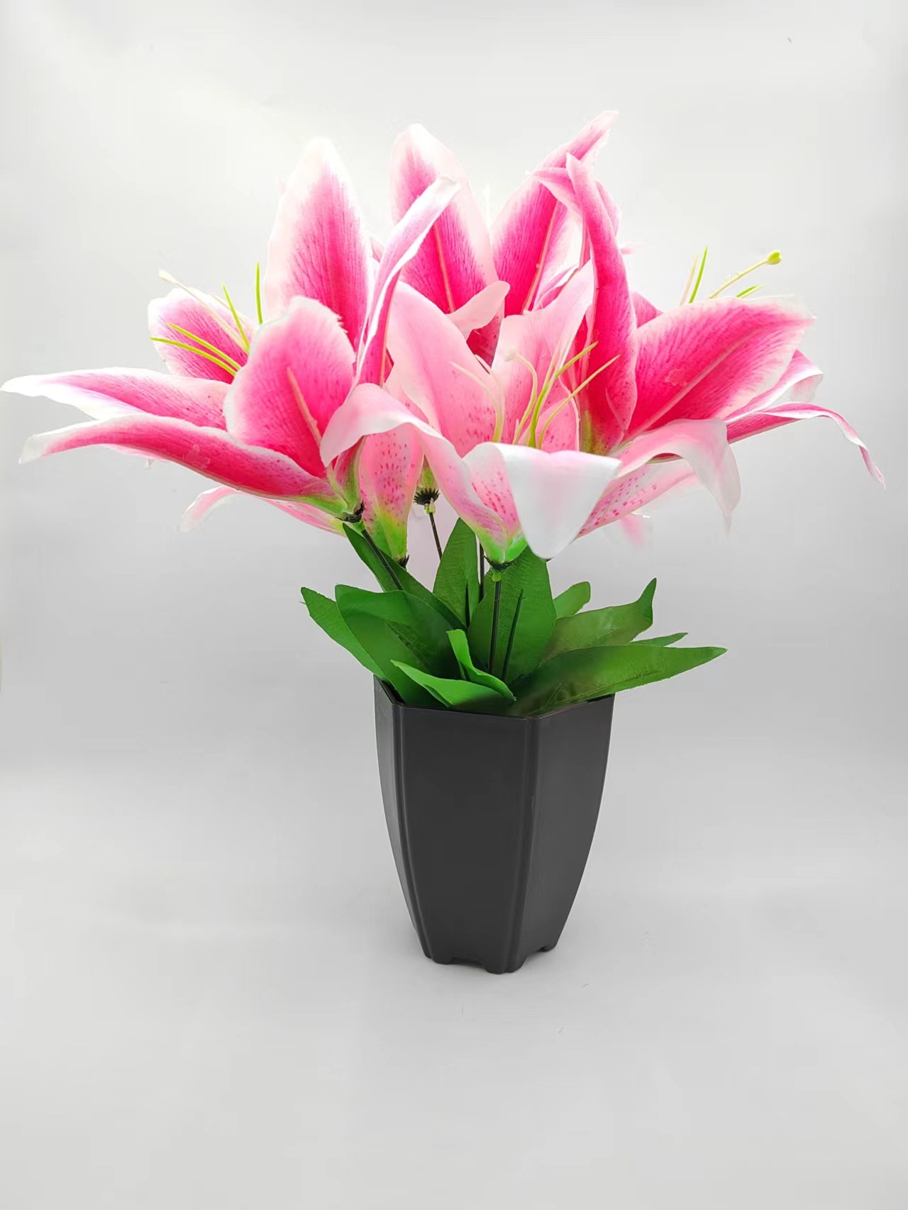 20b88526618235701ea44819c17845