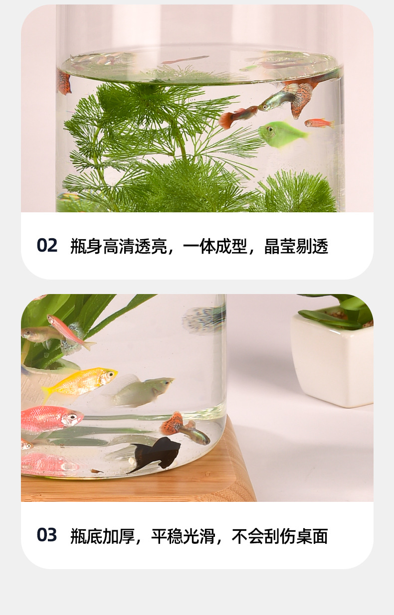 Wholesale transparent micro-landscape glass vase ornaments, hydroponic ecological bottles, diy moss tanks, succulent flower POTS, glass jars pic 26