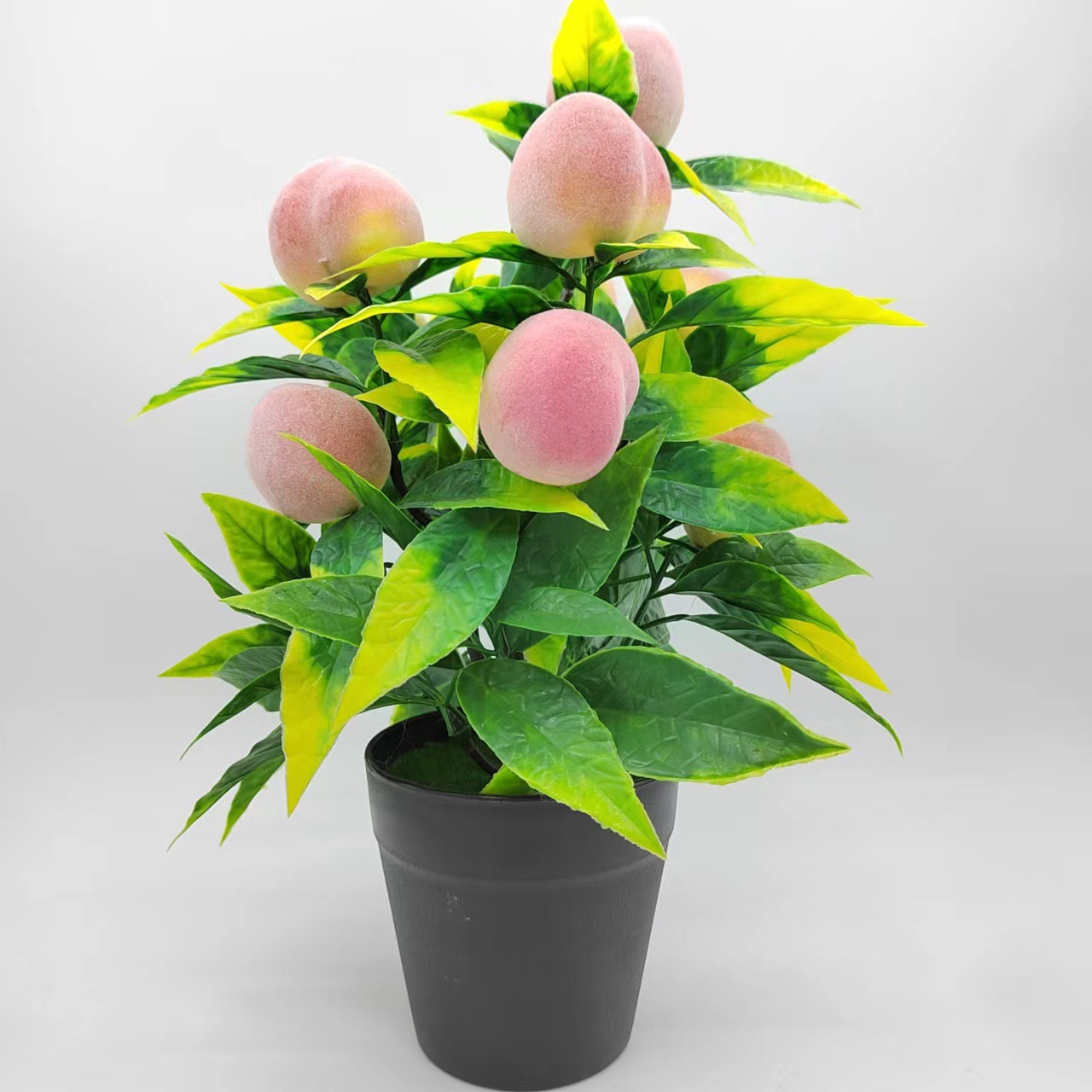 866f3e18d9931878f6c5fd8d892b51