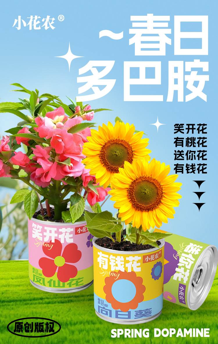 小学生科教玩具春天儿童种植迷你小盆栽花卉室内桌面种花易拉罐头详情1