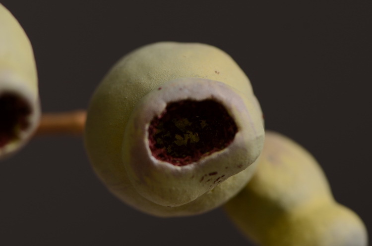 Dongli Flower Industry, the original manufacturer, is now wholeselling vintage decorative pipe fruit artificial flowers, artificial flowers, table flowers, artificial berries, zombie fruits, eucalyptus fruits, and offers one-piece consignment pic 22