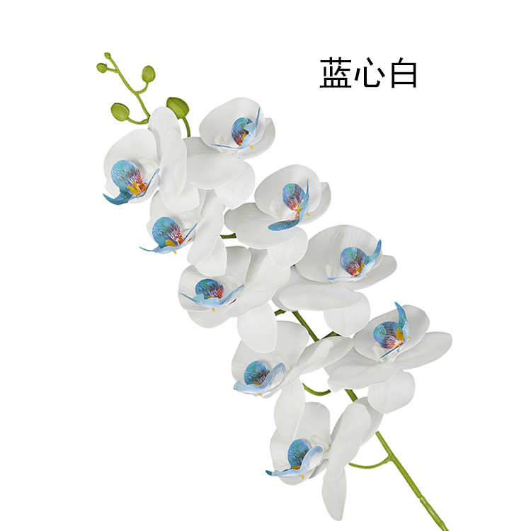 Artificial Phalaenopsis artificial flower home decoration artificial flower hand feel film 9-head Phalaenopsis artificial flower factory wholesale pic 20
