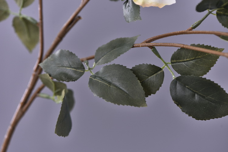 Factory wholesale of 5-head simulated rose with charred edges, retro Greek rose, living room, hotel and homestay photography props rose pic 35